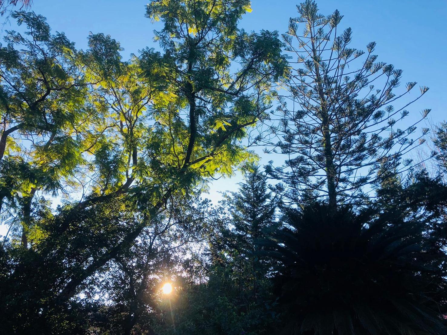 Garden Suites Korfu Dış mekan fotoğraf